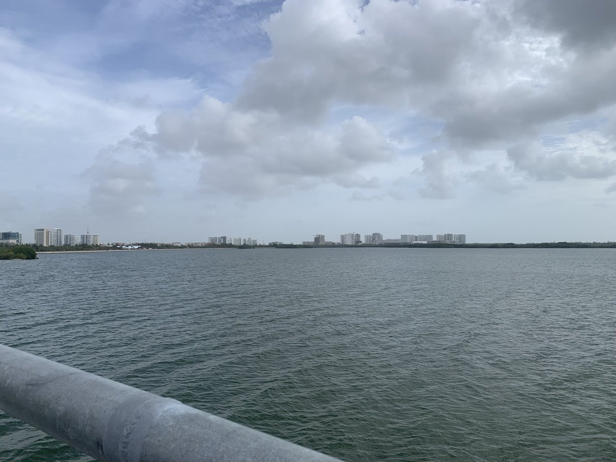 marov12's tweet photo. Hoy hice en bici 7km del puente Nichupté. https://t.co/KPUxJmkWwM