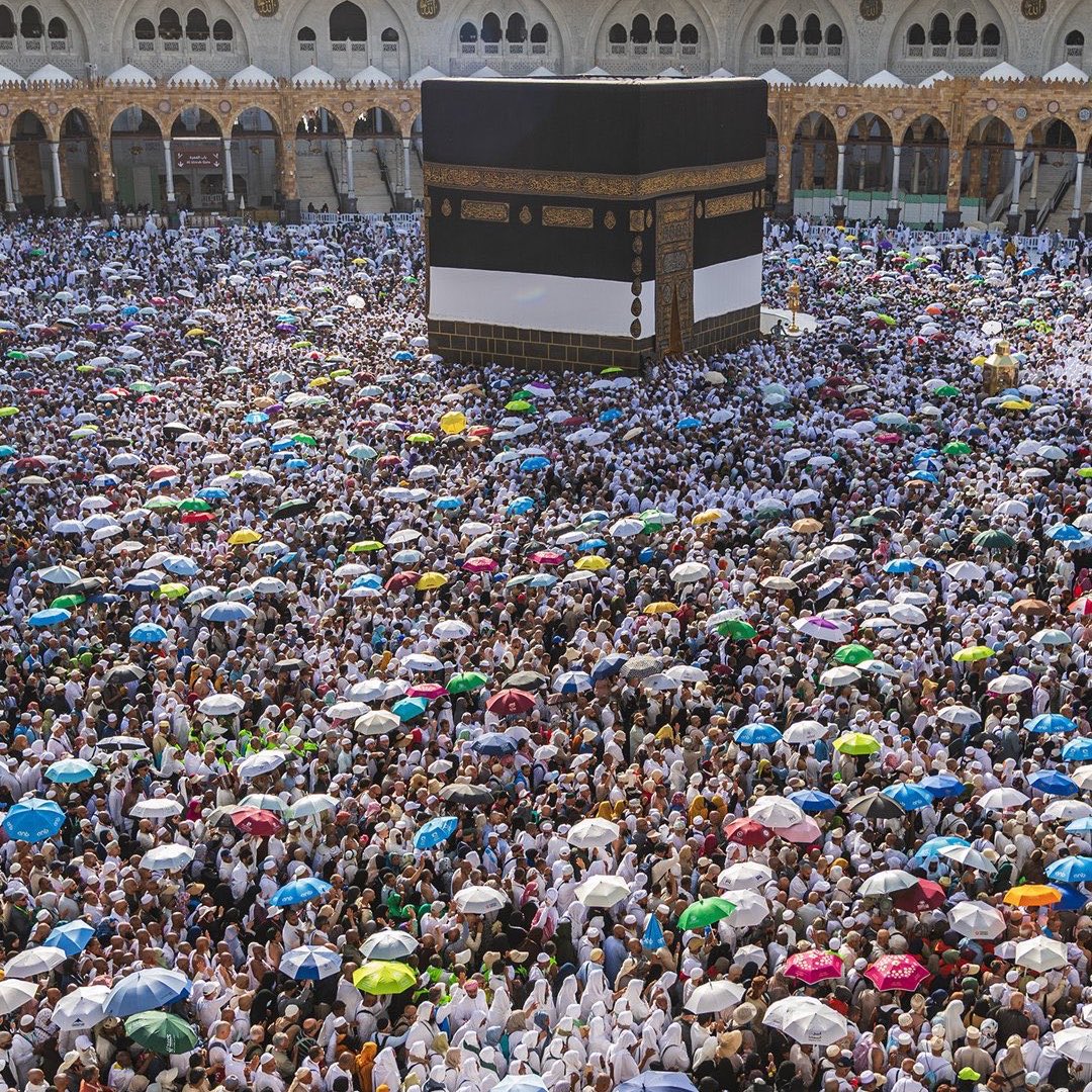 safa3n's tweet photo. نجاح موسم الحج ليس نجاح موسمٍ فحسب، بل نجاح وطنٍ بأكمله يعمل بروحٍ واحدة لخدمة ضيوف الرحمن 
كل التقدير لقيادتنا الرشيدة على دعمها واهتمامها المستمر 
ولجميع من أسهم في هذا الإنجاز الذي يتجدد كل عام ويعكس مكانة المملكة وريادتها في خدمة ضيوف الرحمن 🇸🇦
#نجاح_موسم_حج_1447هـ 
#السعوديه_العظمى