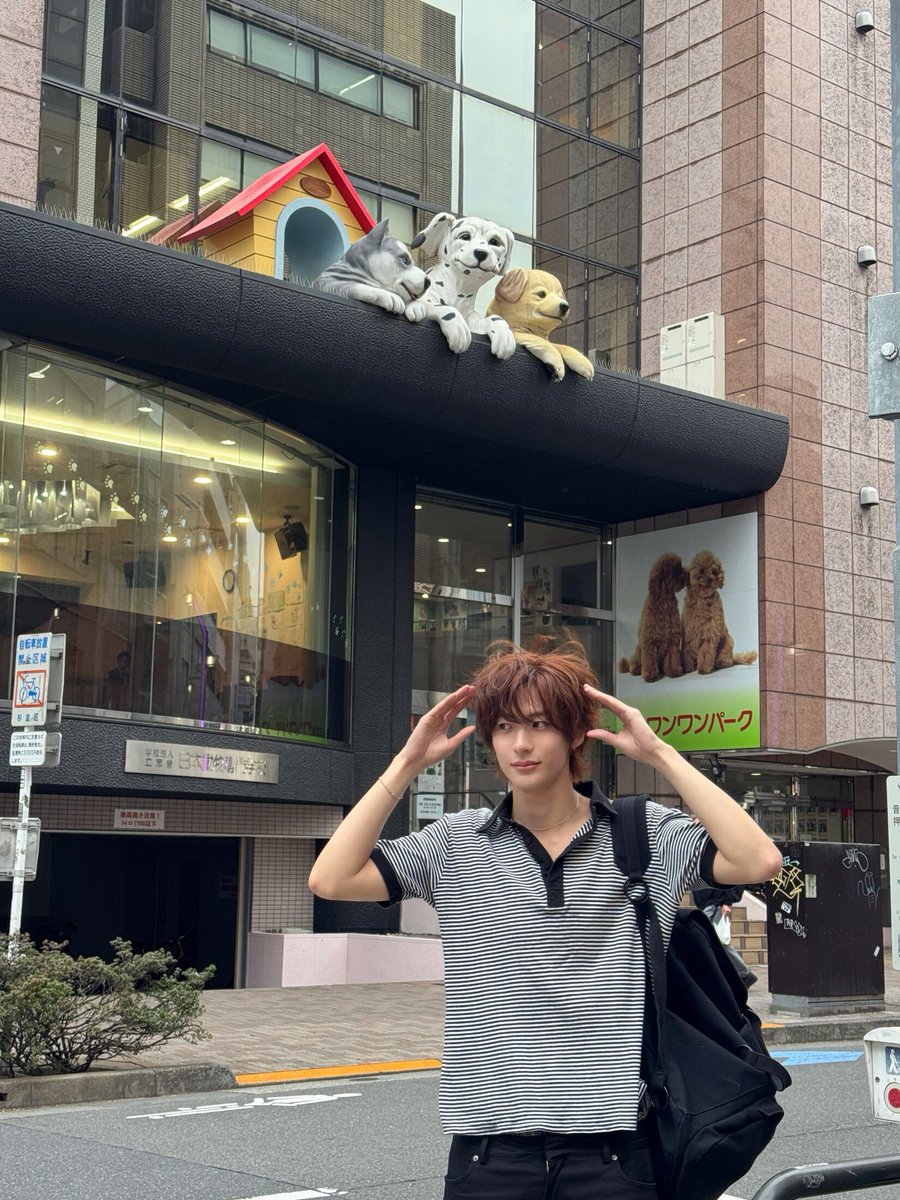 anton_cy_'s tweet photo. 아 알겟다고요 너 귀여운거 안다고 ㅜㅜ https://t.co/JrfGMHxKoA