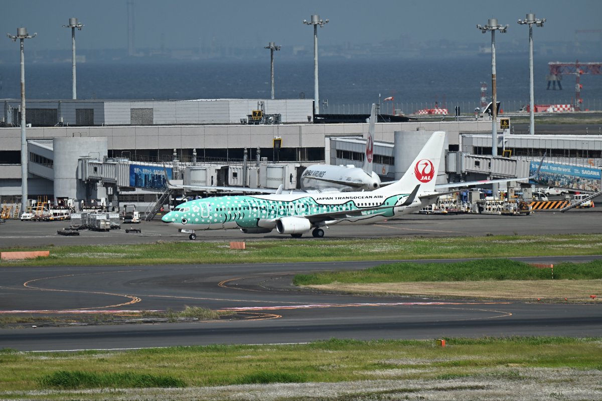 likeB767's tweet photo. #5月を写真4枚で振り返る

今月は全然空港に行けなかったなぁと
横田で米軍機を見て、たまに羽田に行ったくらい
結ジンベイは陽炎すごいから再履修だな。
Vistaraの着陸とルフトバッフェが今月の初撮影というところかな
来月は初の大陸脱出だから気合い入れないとな https://t.co/w34aCeGrYm