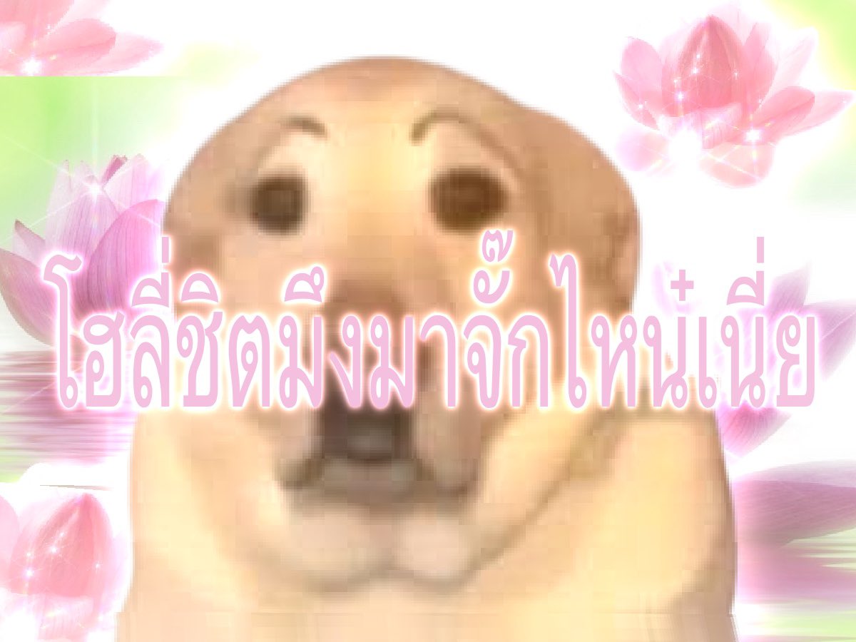 กาเบม tweet media