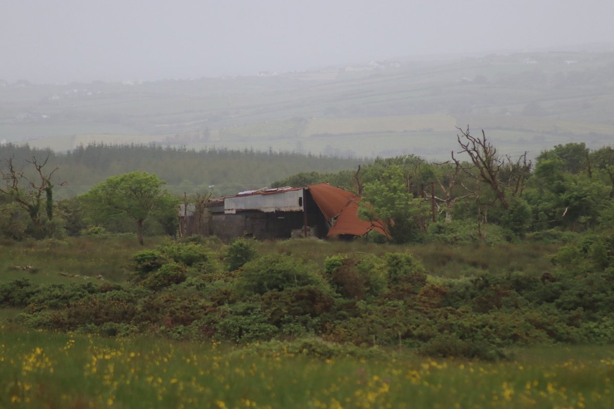 BDuffma's tweet photo. #Clare #Burren #ThePhotoHour 🟡🔵🖤🤍💚💛⚪️⚫️ #365daysofwalking #200daysofwalking https://t.co/WTT5MLDApe