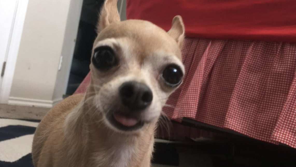 Cloudfrog7's tweet photo. @defaltskin_ @hugmeitscute @koirnz Holy shit https://t.co/hHu5rCbRSJ