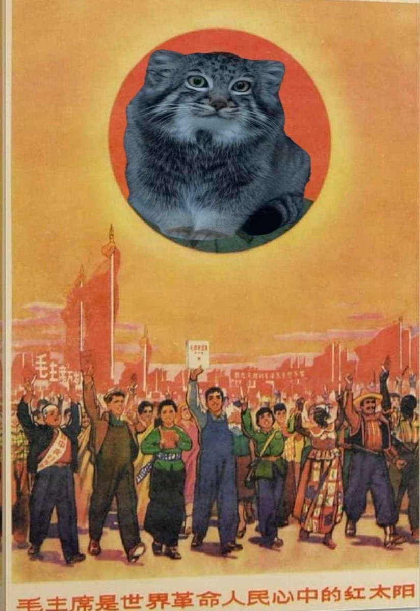 DailyMantle tweet media