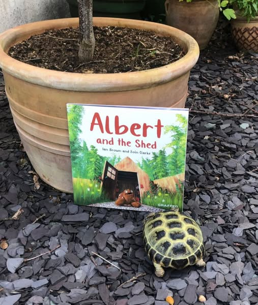 AlbertTortoise's tweet photo. We love seeing YOUR #tortoises and #turtles with our #ALBERTthetortoise #books. Like this pal of real ALBERT going potty for their copy of picturebook ALBERT AND THE SHED. #AvailableNow 9 #ALBERT #picturebooks, 3 #BoardBooks & #ActivityBook https://t.co/sGYhBlFUhP
#shed #story https://t.co/jf9AGW0MFB