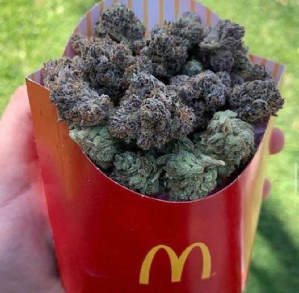 WeedPorns's tweet photo. McNugs https://t.co/LUYB1AkY33