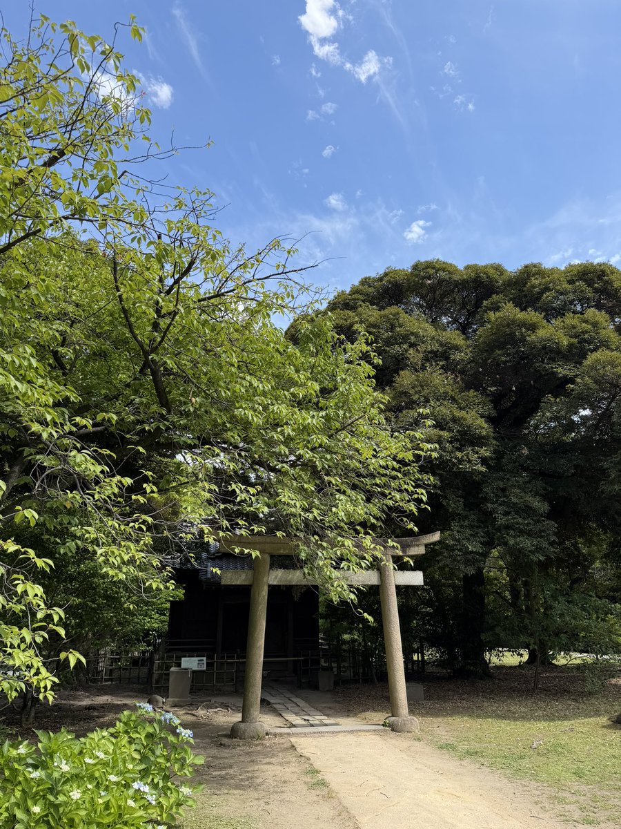 kensora623's tweet photo. 浜離宮恩恵公園に行ってきた。
周りは高層ビルだらけ。けれど、江戸時代の庭と現代東京の対比が意外に良かった。空が広い。中央の池は、昔は東京湾と繋がっていた潮入の池で、潮の匂いがした。
池のほとりの御茶屋で抹茶と和菓子を食べて、空を眺めてぼけぇっとした。抹茶の写真は撮り忘れた。 https://t.co/r5MCyD0dFf