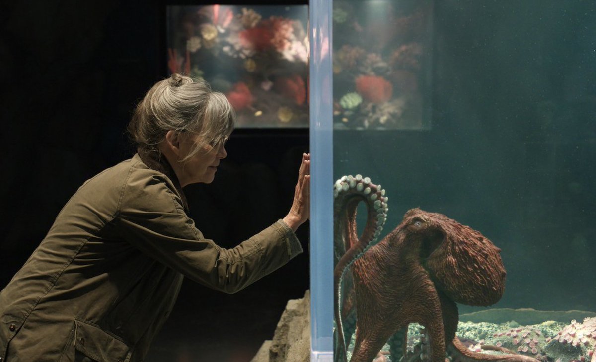 NetflixGem's tweet photo. 🌟 MAY WAS STACKED.
🔥 9 top picks to watch on Netflix:

1. Remarkably Bright Creatures
2. Man on Fire
3. Nemesis
4. Legends
5. The Chestnut Man Hide and Seek
6. A Good Girl’s Guide to Murder
7. My Dearest Señorita
8. My Name Is Agneta
9. The Boroughs

Which one do you still need to watch?