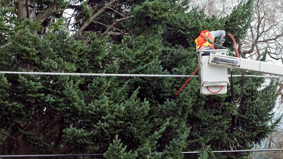 bchydro's tweet photo. Safety starts with knowledge. 

Access free in‑person and online electrical awareness training for anyone working near electricity, from tradespeople to first responders. Learn more here: https://t.co/AAROQLWrMH https://t.co/JYtvtiwhHN