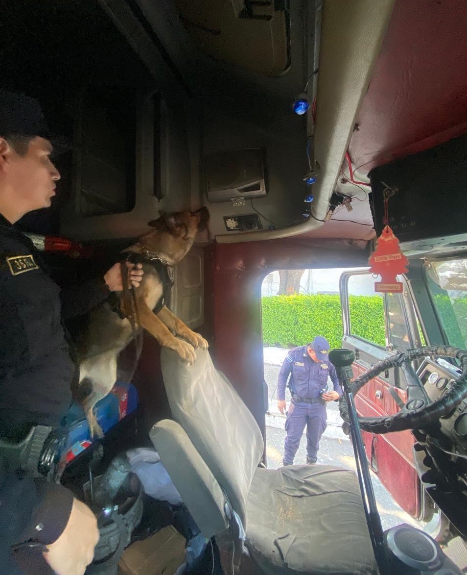 Vi11atoro's tweet photo. Sin descuidar ninguna parte del territorio salvadoreño, seguimos destruyendo la economía criminal. Necesitamos que las futuras generaciones crezcan con los incentivos correctos. 

Gracias al valioso apoyo de nuestros agentes K9, piezas fundamentales de la División Antinarcóticos de la @PNCSV, fue capturado en flagrancia Franklin Enrique Rosales Interiano. Durante la inspección de su vehículo, se le incautó una porción grande de marihuana, valorada en $1,941.50.

Ahora este sujeto será procesado por el delito de tráfico ilícito y pagará con prisión. 

En este país no vamos a permitir que sigan ensuciando a nuestra sociedad con el veneno de las drogas. Nuestro trabajo es firme y contundente, vamos tras todo aquel delincuente que no ha entendido esto.

#PlanControlTerritorial