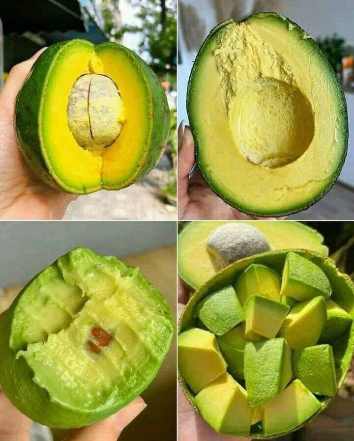 Tanya_priye's tweet photo. What is the best food to eat this with?? https://t.co/1joCnEHyNi