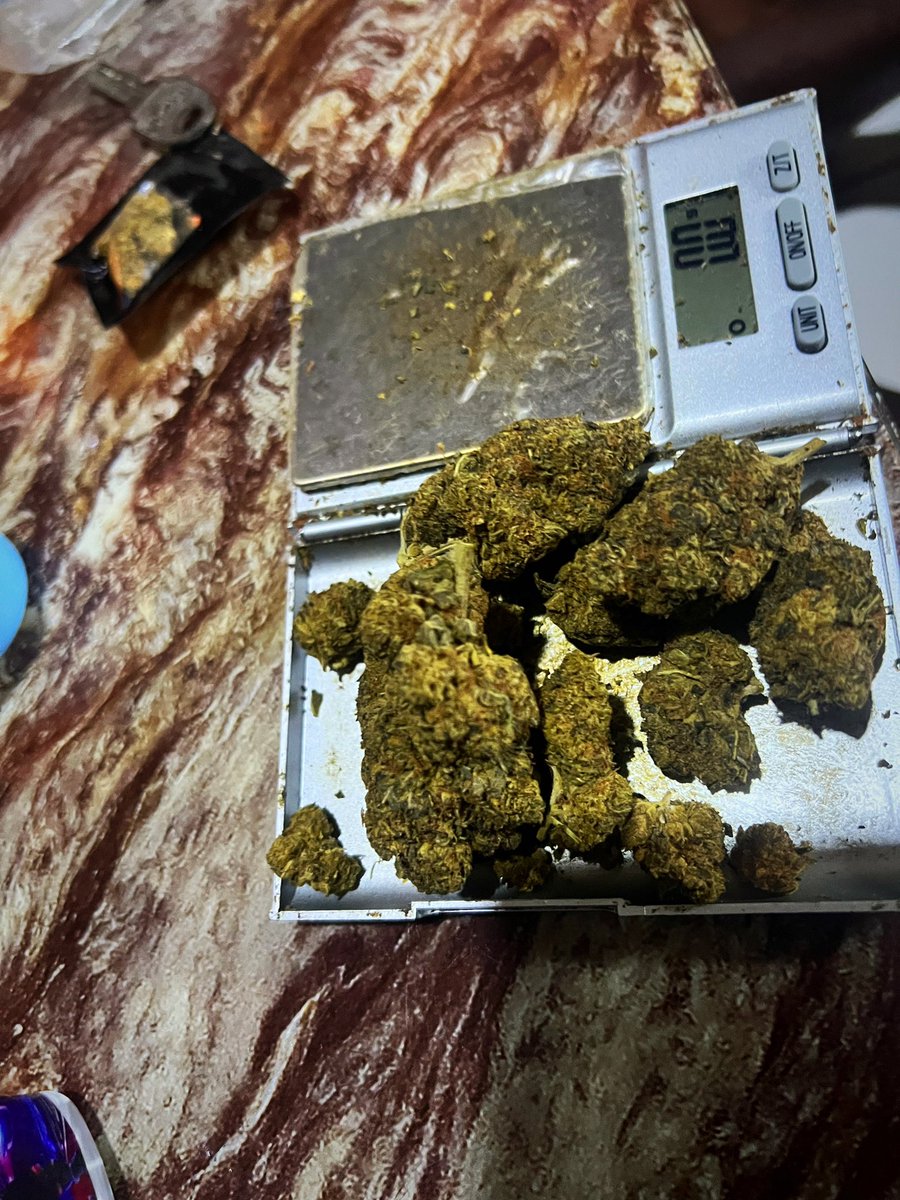 EL420 STöñeR🍁🥤🌿 tweet media