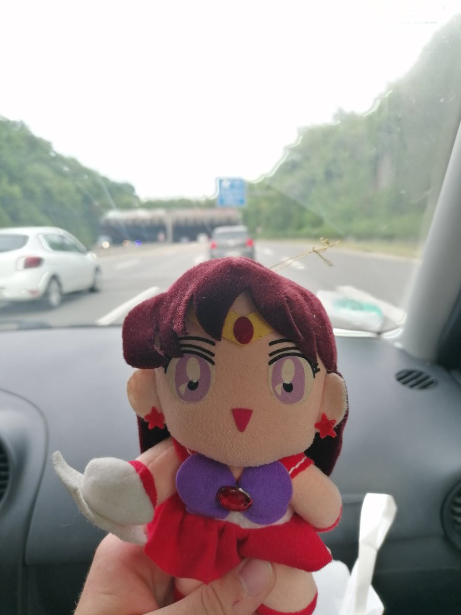 sicksgate's tweet photo. Goodbye Düsseldorf
(I bought a deroy retro Rei plush as a parting gift to myself) https://t.co/yGY4setaej