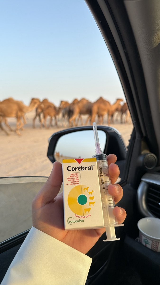 __eu7's tweet photo. مساء الخير والخيره . https://t.co/wYavur1i2x