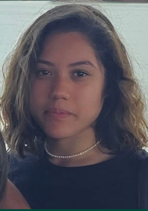 browardsheriff's tweet photo. MISSING PERSON:  Have you seen 17-year-old Brisa Velasco? She was last seen around 4:30 p.m. on Thursday, May 28, in the 8700 block of NW 57th Street in Tamarac. She was last seen wearing all black clothing. Call 954-764-HELP (4357).
https://t.co/WUFfUjsDN9 https://t.co/thRuEW0Opv