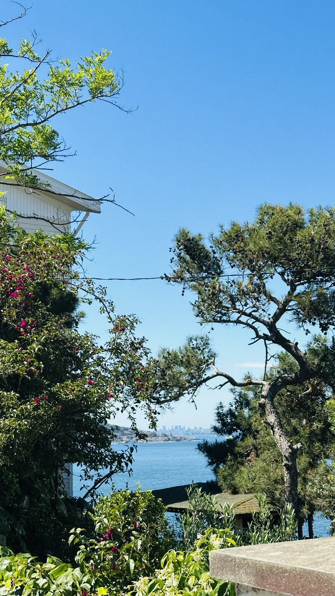 rjdtm's tweet photo. İstanbul 🧡 https://t.co/fzDcgPBE9v