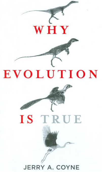 lyonsnyc's tweet photo. @anchoredso37497 P1: Abiogenesis concerns the origin of life. 
P2: Nobody knows how life emerged. 
P3: However, life *did* emerge, and scientists discovered that life flourishes and propagates—it evolves—through a process called natural selection.
C: Therefore, evolution is true. https://t.co/mwig7ksjE4