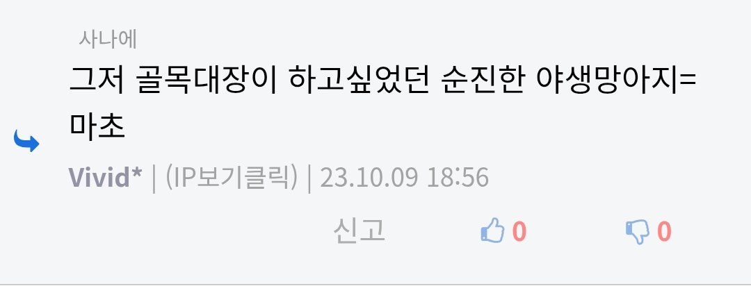 아마내일쯤죽음 tweet media
