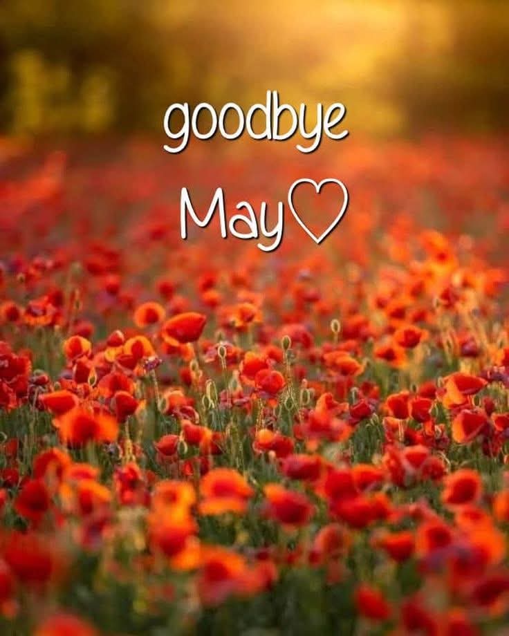 ghadazien's tweet photo. https://t.co/trDoOC2MnI