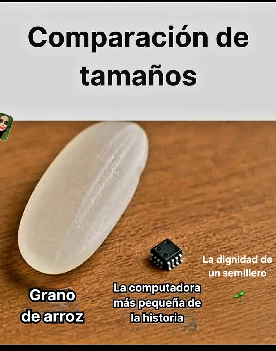 José Alberto tweet media