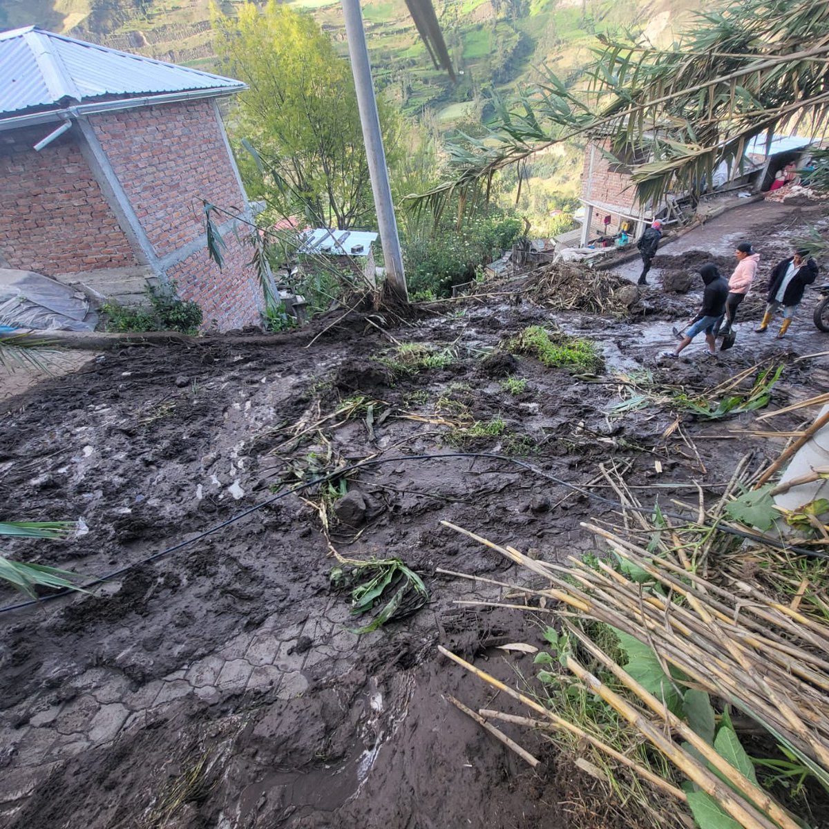 ECU911Ambato's tweet photo. 📍 #Chimborazo | Un aluvión registrado en el sector de Nizag Bajo, cantón #Alausí, dejó como resultado una vivienda y una vía de tercer orden afectadas, además de daños en bienes privados.

Desde la Sala Operativa del @ECU911_ se coordinó la atención con @PoliciaEcuador, @Riesgos_Ec y #Bomberos, quienes se encuentran en la zona.

Al momento, la vía a Nizag Bajo se encuentra parcialmente habilitada en un 90%.