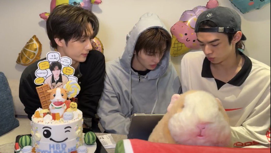 ustws_531's tweet photo. 이제 저 기니피그 인형마저도 한 팀 같음, https://t.co/xlC0wnekqC