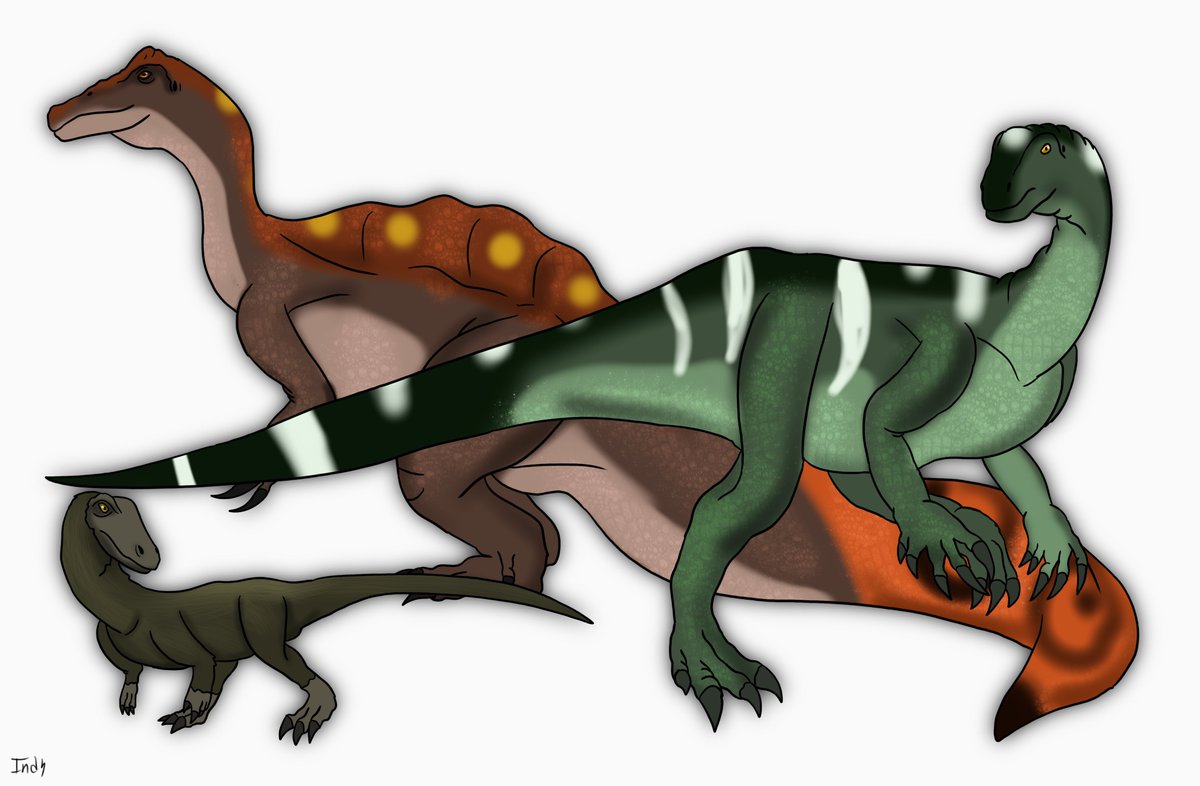 IndragonSaur's tweet photo. Here ya go
#digitalart #artistsonTwitter #Dinosaur #PaleoTwt
#art #ArtTwt #digitalartists #Paleoart #Theropod #Ceophysis #plateosaurus #irritator #dinoTwt https://t.co/6FhxPJdtFV