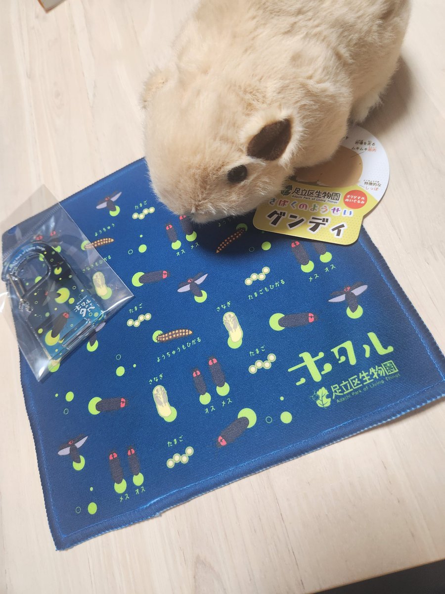 keratinMk2's tweet photo. 足立区生物園に行ってホタル見てきた。 https://t.co/fplxSGWO4O