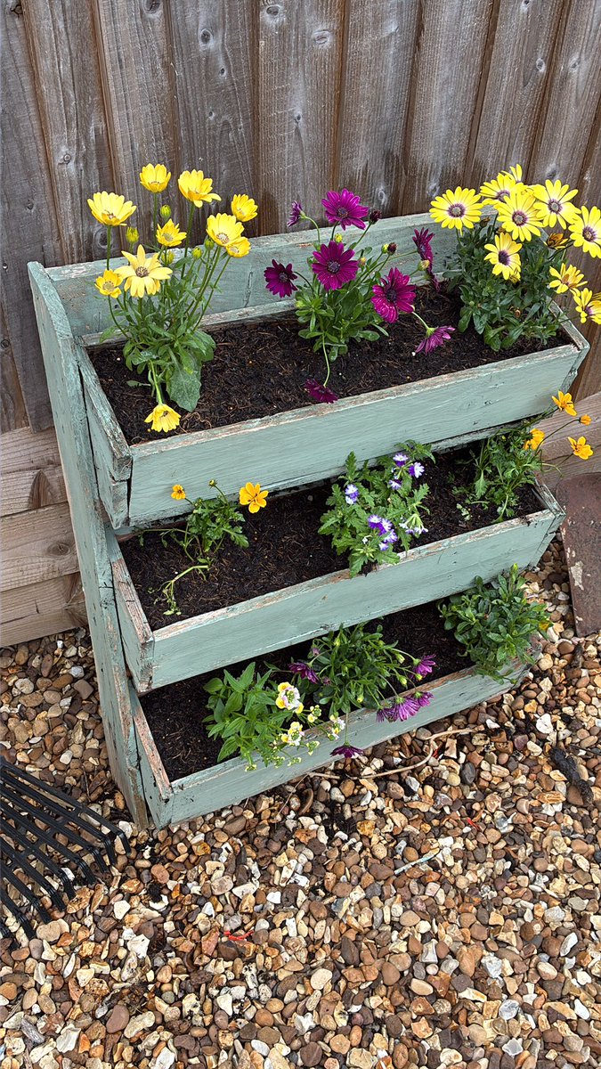 Riddlesminder's tweet photo. We had a trip to the garden centre today. Didn’t know what we wanted. So chose plants that were visited by bees. Bought £140 worth, so hopefully they will enjoy them. Just a sample. https://t.co/89teVlBbnf