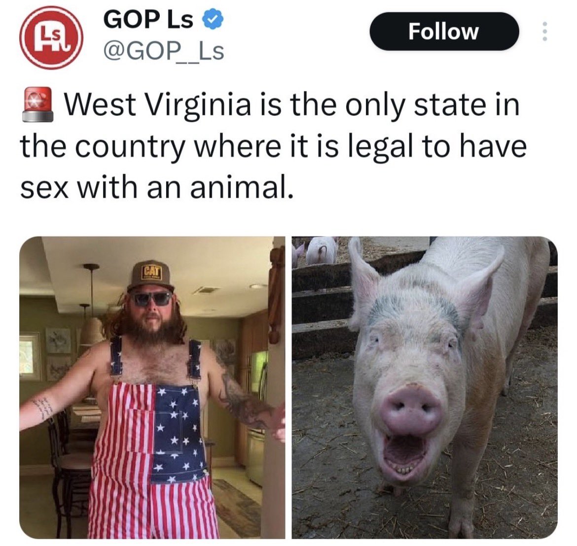 PaleExposed tweet media