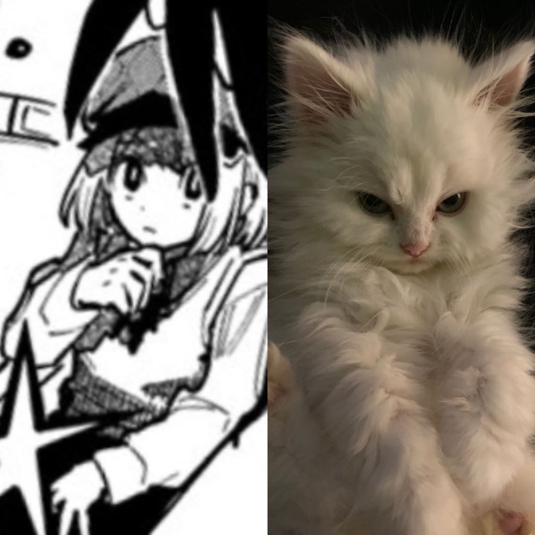 aniwolf66's tweet photo. I need more feral kitty appleslice #IchiTheWitch https://t.co/UtSvhwE3KN