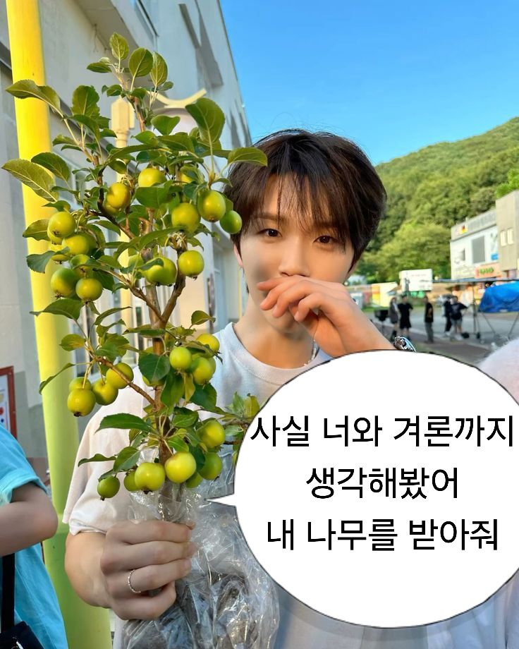 나윤 tweet media