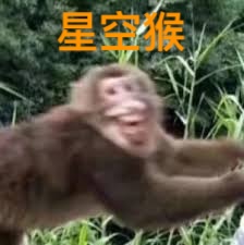 Saaamy Ytts 🇳🇿🇹🇼 tweet media