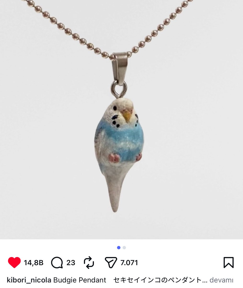 🦈 tweet media