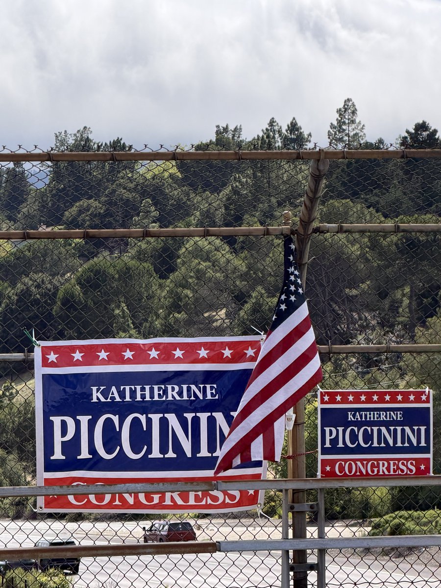 Piccinini4C's tweet photo. Great overpass rally in Orinda, California. Don’t forget, vote Katherine Piccinini for Congress June 2nd! https://t.co/FX2b8OrgNI