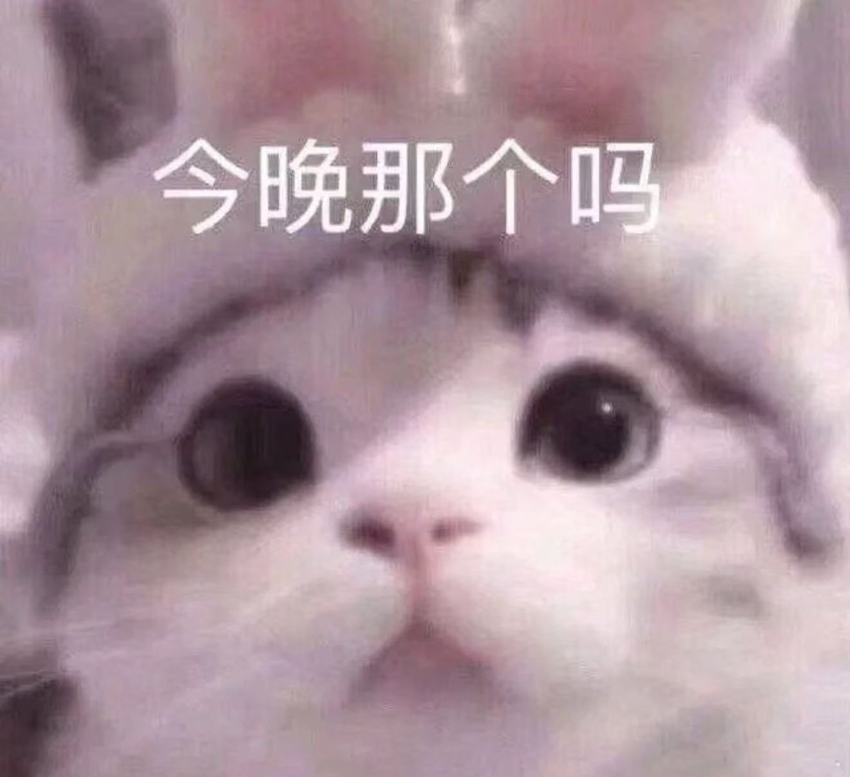 DonovenKeys's tweet photo. 成都滴滴 #成都 https://t.co/t9myzaFuIn