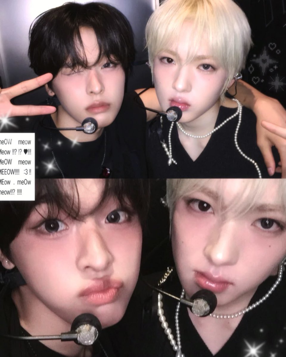 시쿠리 tweet media