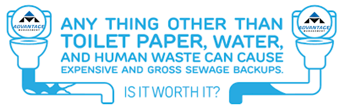 AM_PropMgmt's tweet photo. Think before you flush! Check out our article. https://t.co/EbM7jDfHHc #Advantagemangement #Pipes #Flush #PropertyManagment #WeAreYourAdvantage https://t.co/b32lqtU9HJ