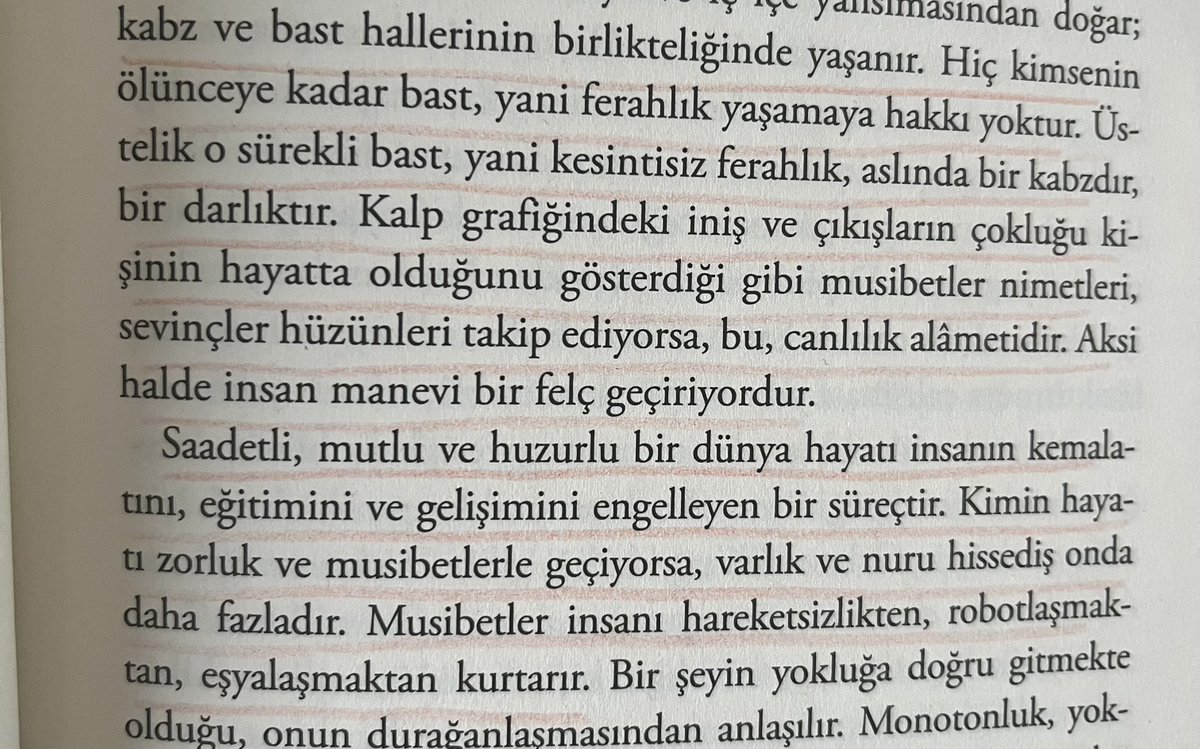 miyaveraa tweet media