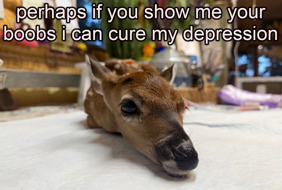 mfing deer girl 2sday tweet media