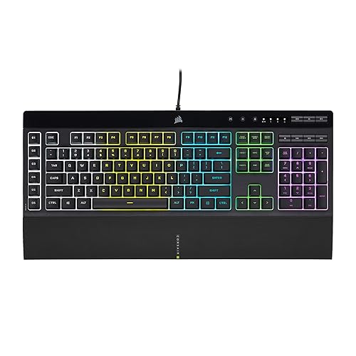 BallisticAriVT's tweet photo. I just received a contribution towards Corsair Wired Gaming Keyboard from ballisticarivt via Throne. Thank you! https://t.co/ToDjB8e92u #Wishlist #throne https://t.co/IK2dCreQfp