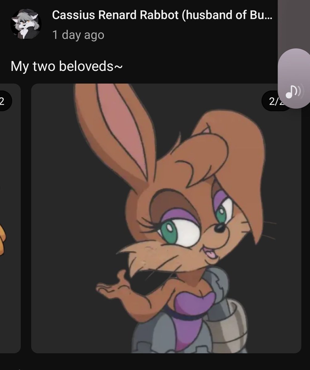 Beatle_Yee's tweet photo. He is very delusional and mentally unwell. He believes he is married and or dating Bunnie Rabbot and Sally Acorn. If you were an rp account as a female sonic character with a romantic relation to him in rp. He will belive he's actually dating you too (+) https://t.co/kTpSRk4Jve