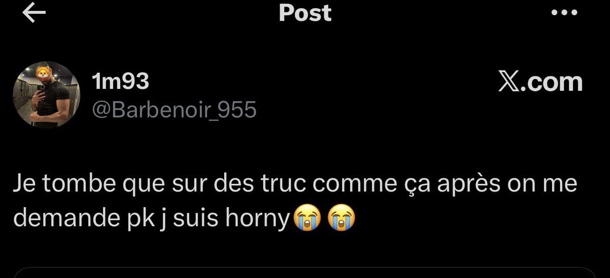 shigaraki 🇩🇿 tweet media