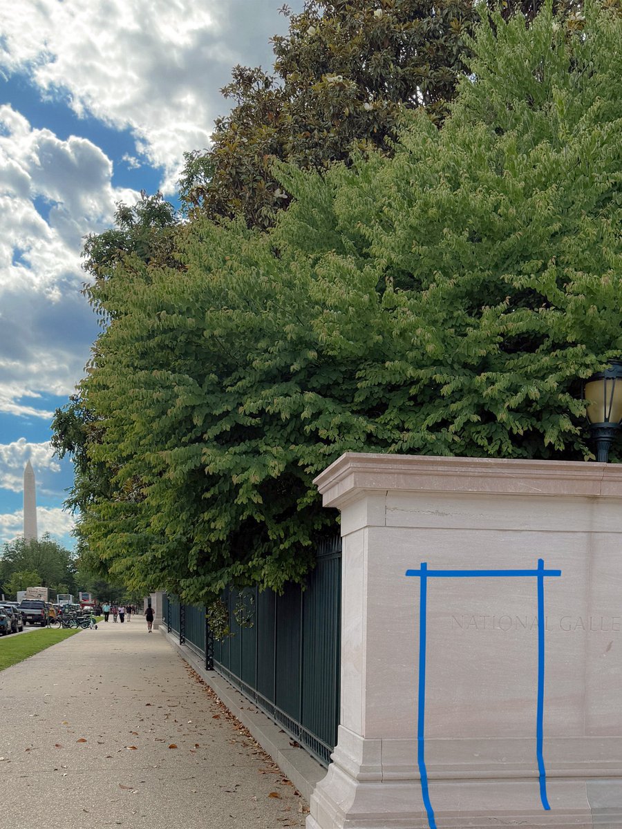 BackroomsMov's tweet photo. Once you see it, it’s everywhere
📍London
📍New York
📍Phoenix, AZ
📍Washington, DC https://t.co/FT337GDFH0