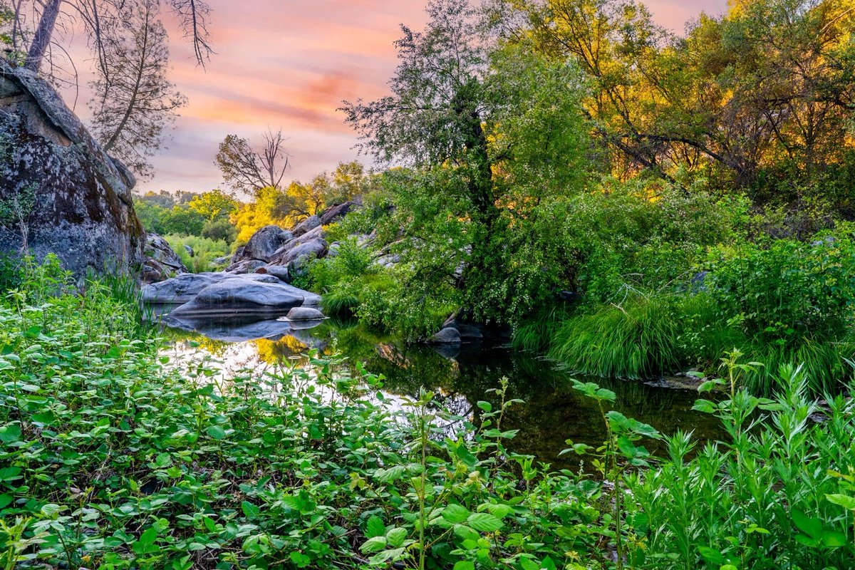 SkyRunVR's tweet photo. A secluded escape off the beaten path🍃This 3-bedroom retreat is surrounded by nature, making it perfect for adventurous travelers looking for a quiet place to relax. You'll be close to downtown and a scenic drive away from Yosemite.

📍Mariposa, CA
🔗https://t.co/Cr05jiM7iM https://t.co/4kmtXdQGpv