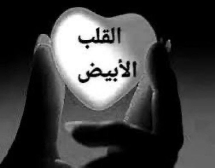 الغنيم عادل tweet media