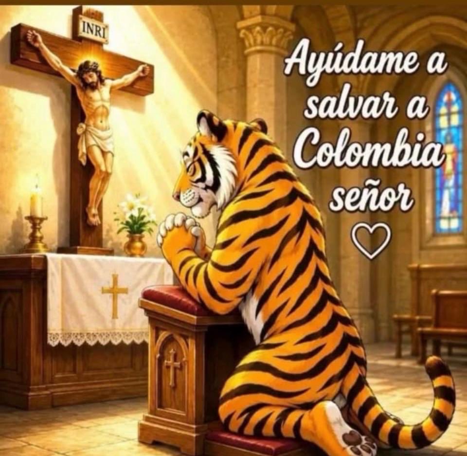 JUANENRIQUERES2's tweet photo. https://t.co/utHlOicBC6