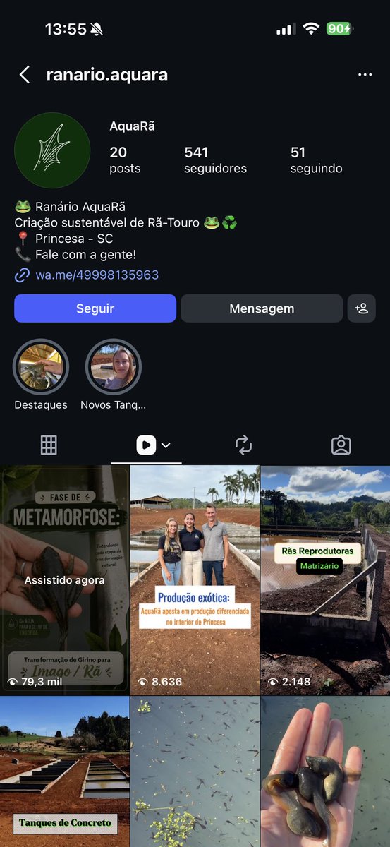 henryzitisse's tweet photo. simplesmente obcecado com RANÁRIOS (criação de rã). o bicho só come o que se move, então os caras inventaram uma CALHA QUE VIBRA pro bicho não morrer de fome do lado da comida KKKKKK

e o pior: vende caríssimo pra restaurante de luxo e pra HOSPITAL pq a carne é pura proteína https://t.co/f4QU4cu0Ck