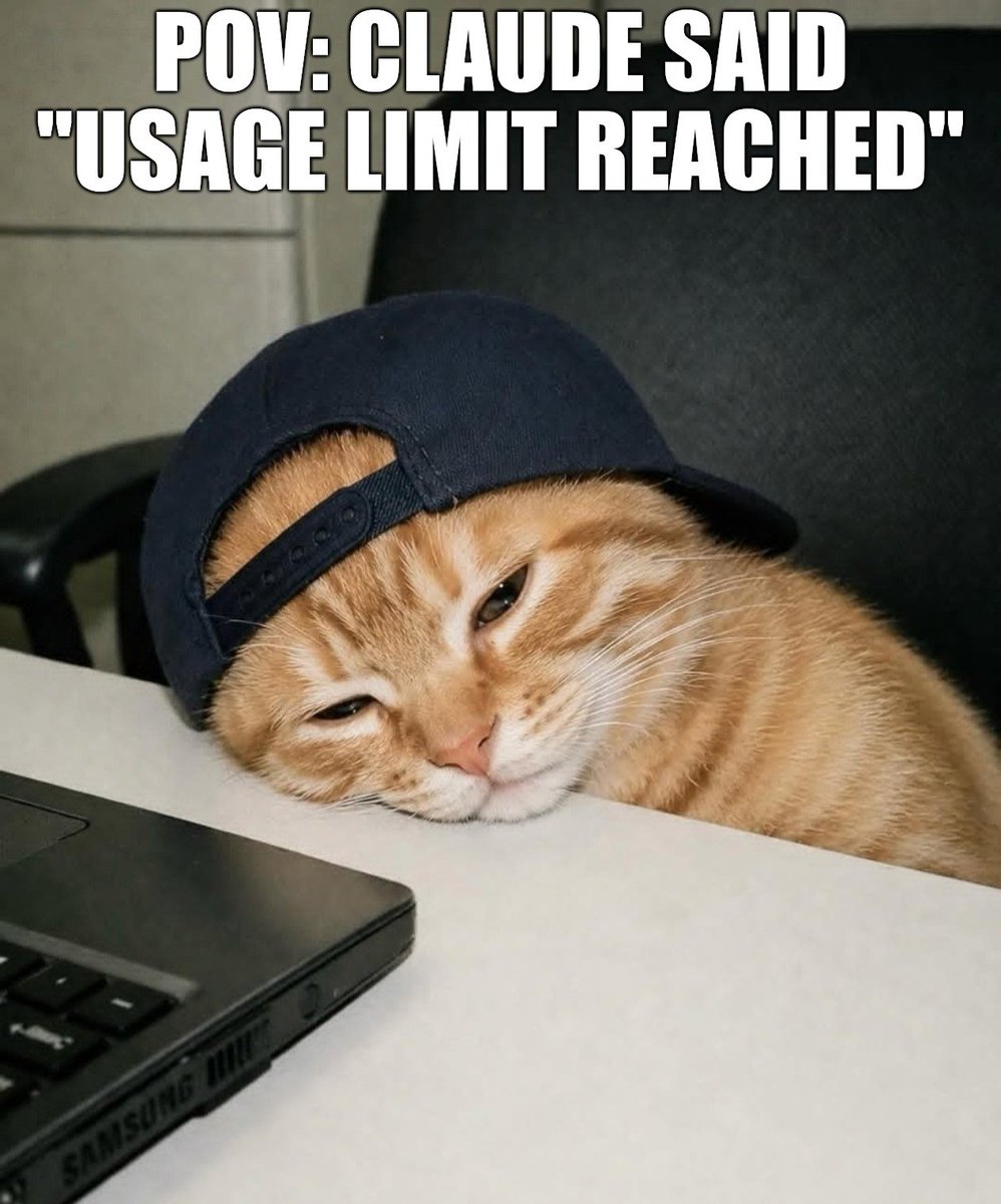 GitHub Projects Community tweet media