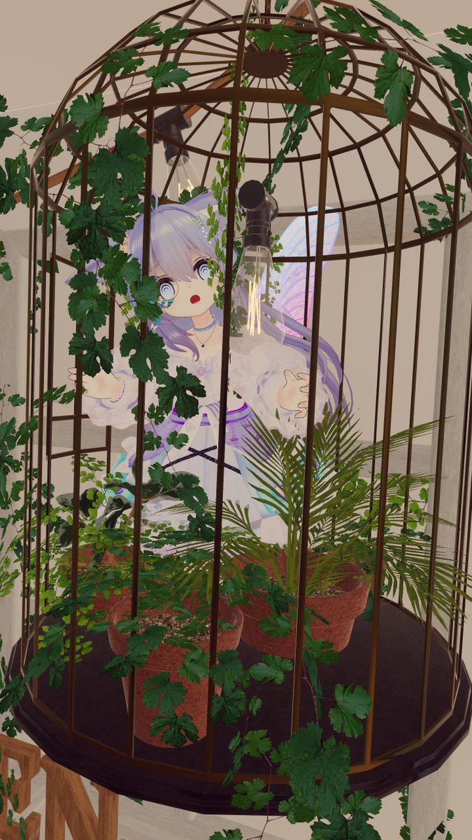 もふーさん tweet media
